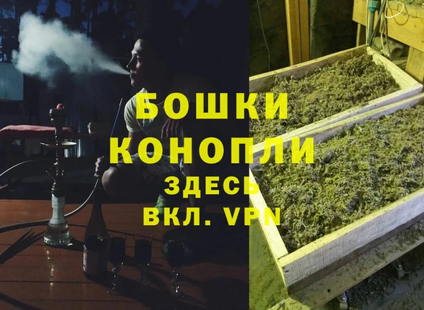 шишки Балабаново
